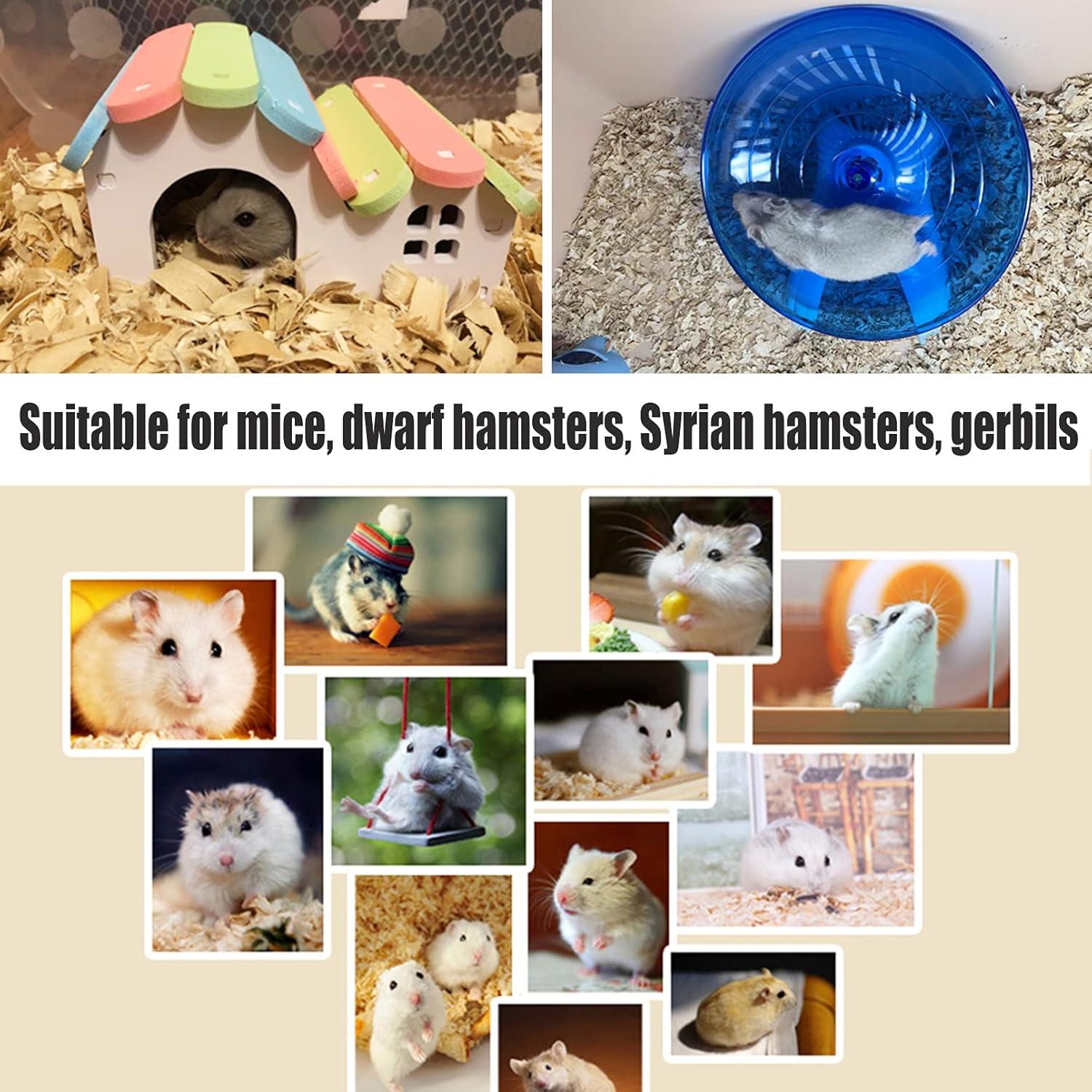 Set de Juguetes para Hámsters Hamiledyi - 10 Piezas con Rueda Silenciosa y Casa Arcoíris