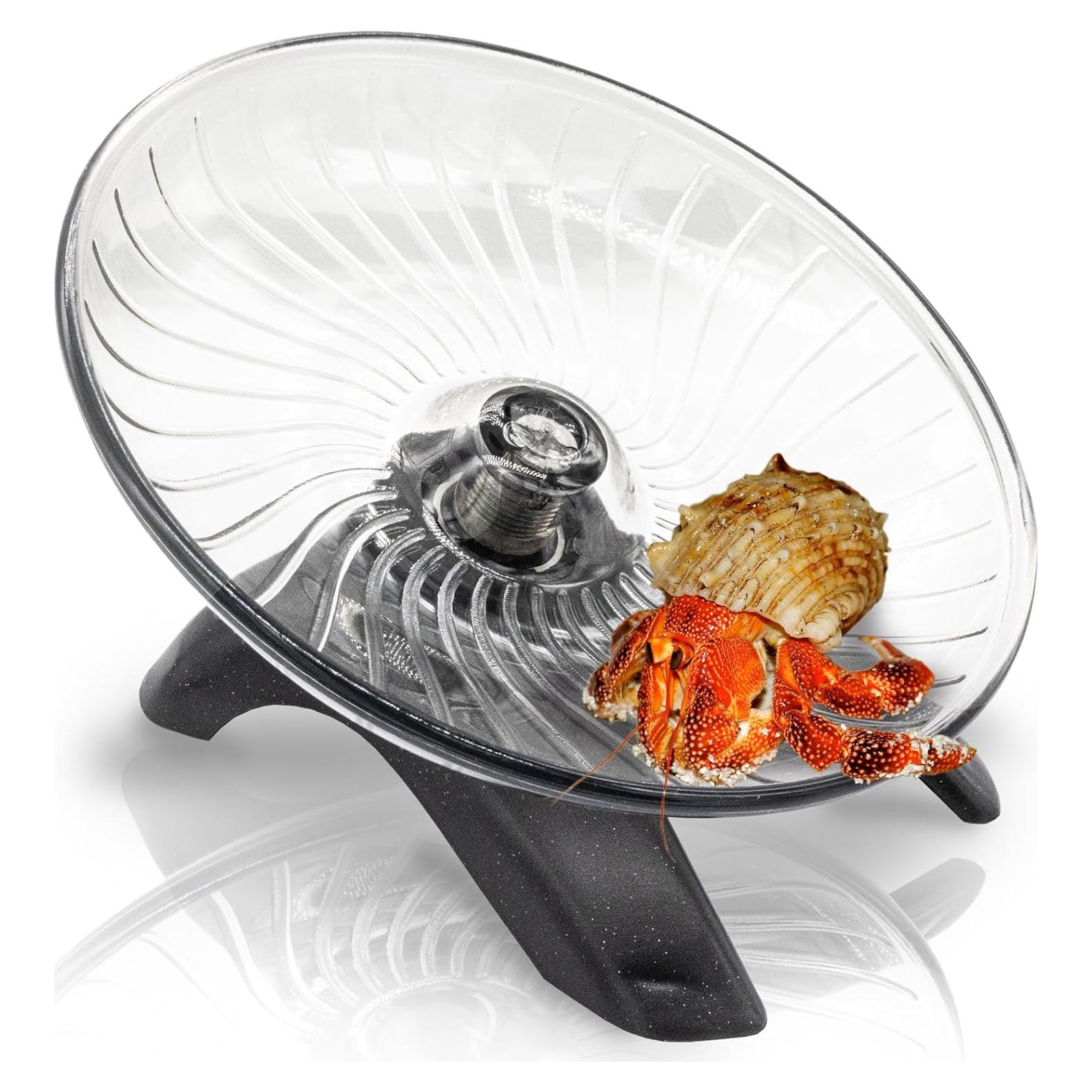 Rueda de Ejercicio para Cangrejos Ermitaños Niuohoy 12.7 cm