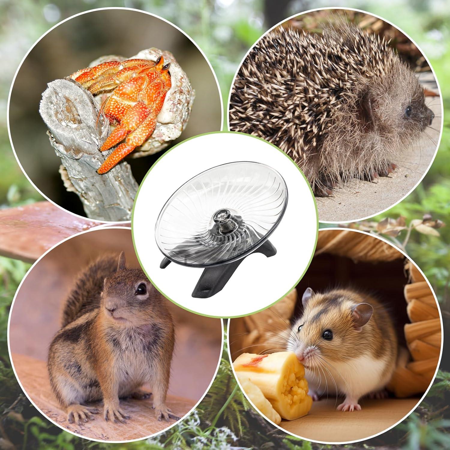 Rueda de Ejercicio para Cangrejos Ermitaños Niuohoy 12.7 cm