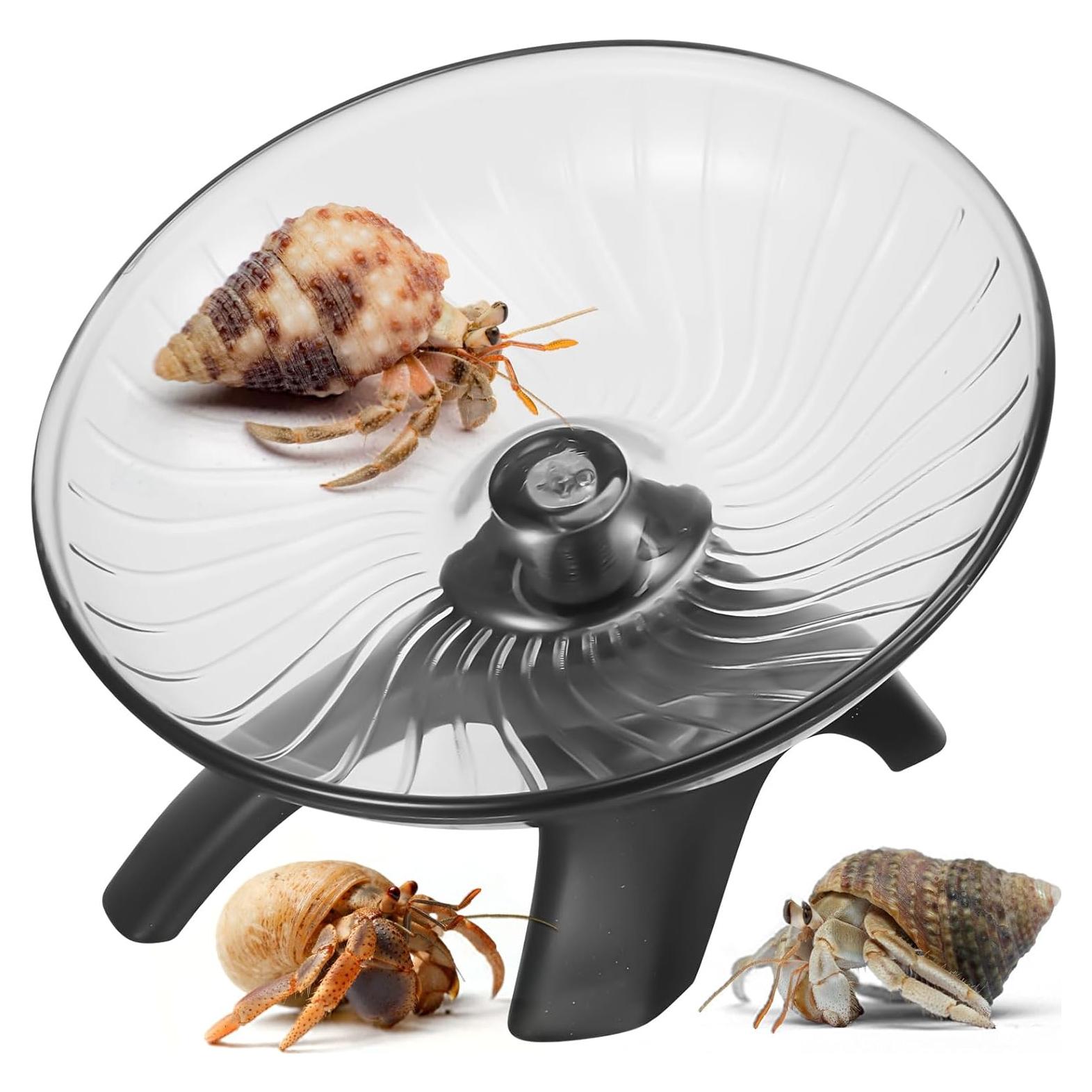 Rueda de Ejercicio para Cangrejos Ermitaños Poen 10.5 cm Silenciosa