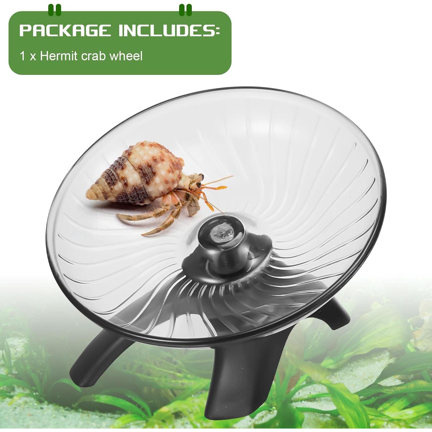 Rueda de Ejercicio para Cangrejos Ermitaños Poen 10.5 cm Silenciosa