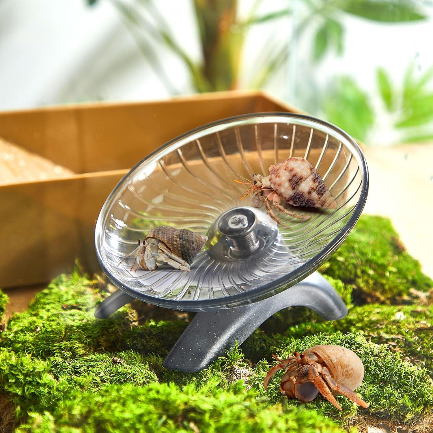 Rueda de Ejercicio para Cangrejos Ermitaños Poen 10.5 cm Silenciosa