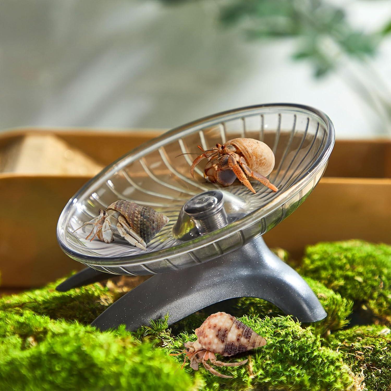 Rueda de Ejercicio para Cangrejos Ermitaños Poen 10.5 cm Silenciosa