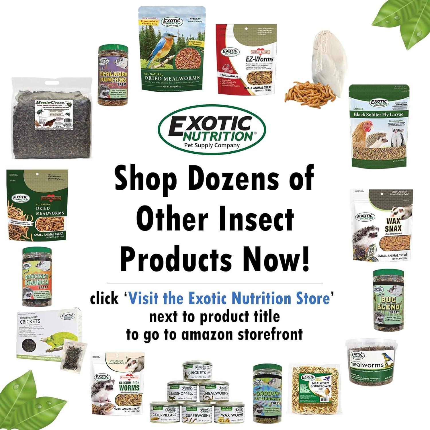 Rueda de Ejercicio Silent Runner Exotic Nutrition 22.86 cm Brilla en la Oscuridad