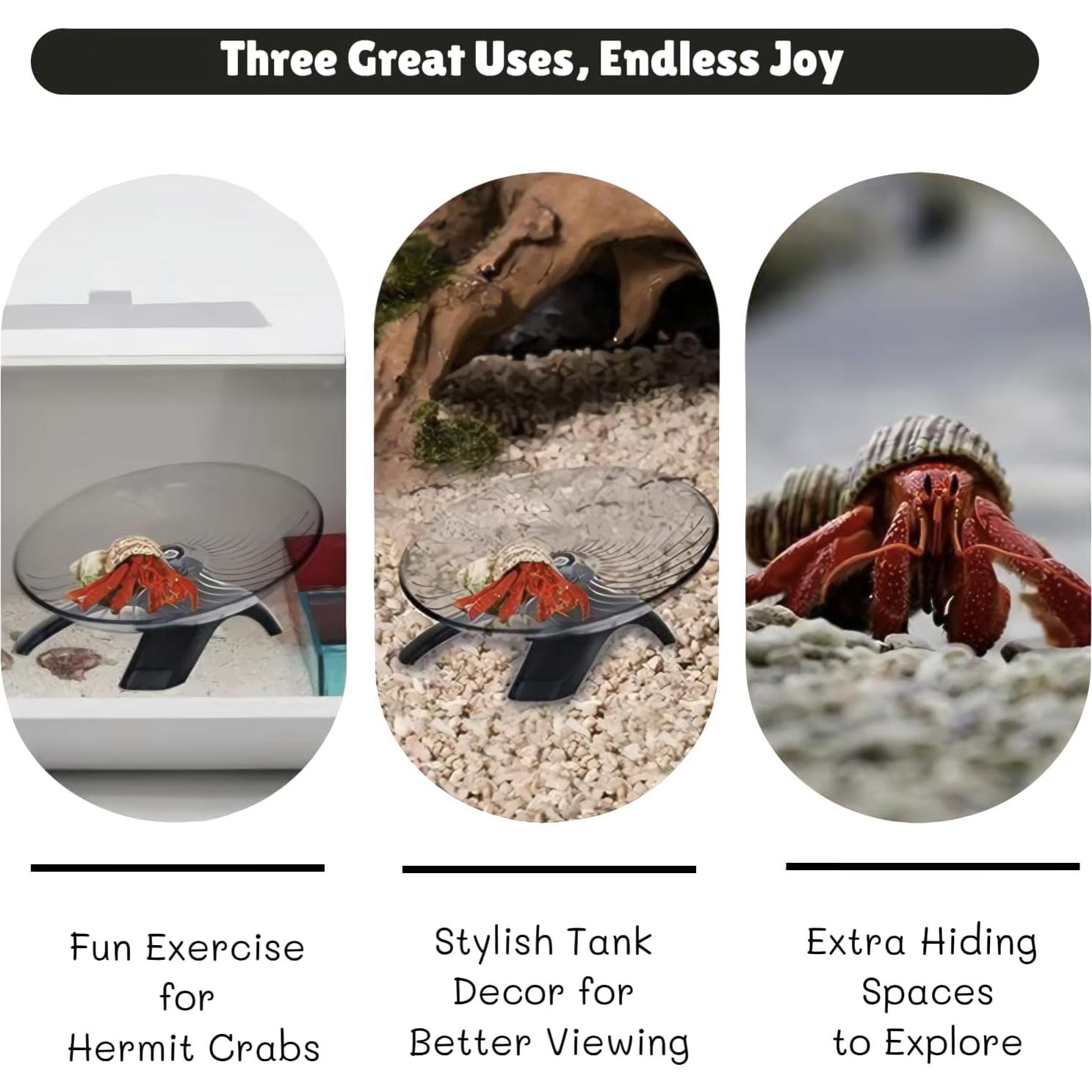 Rueda de Ejercicio Silenciosa para Cangrejo Ermitaño Wanwanzi