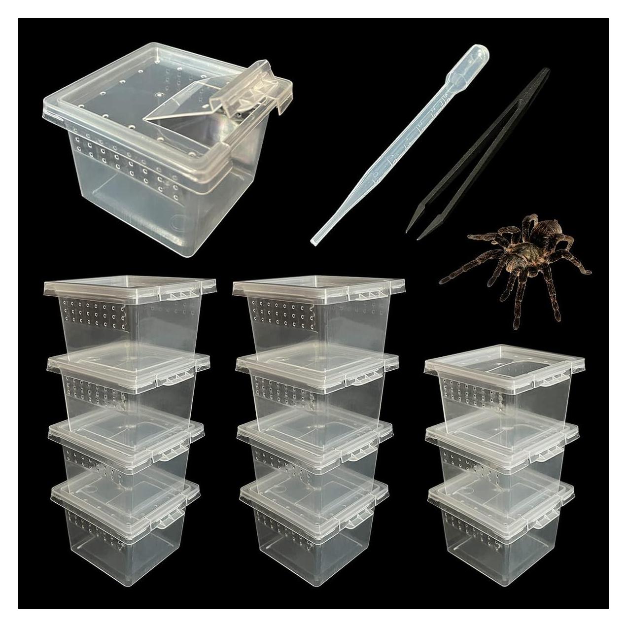 Caja de Cría de Reptiles GKPONSX 12 Pcs para Arañas y Invertebrados