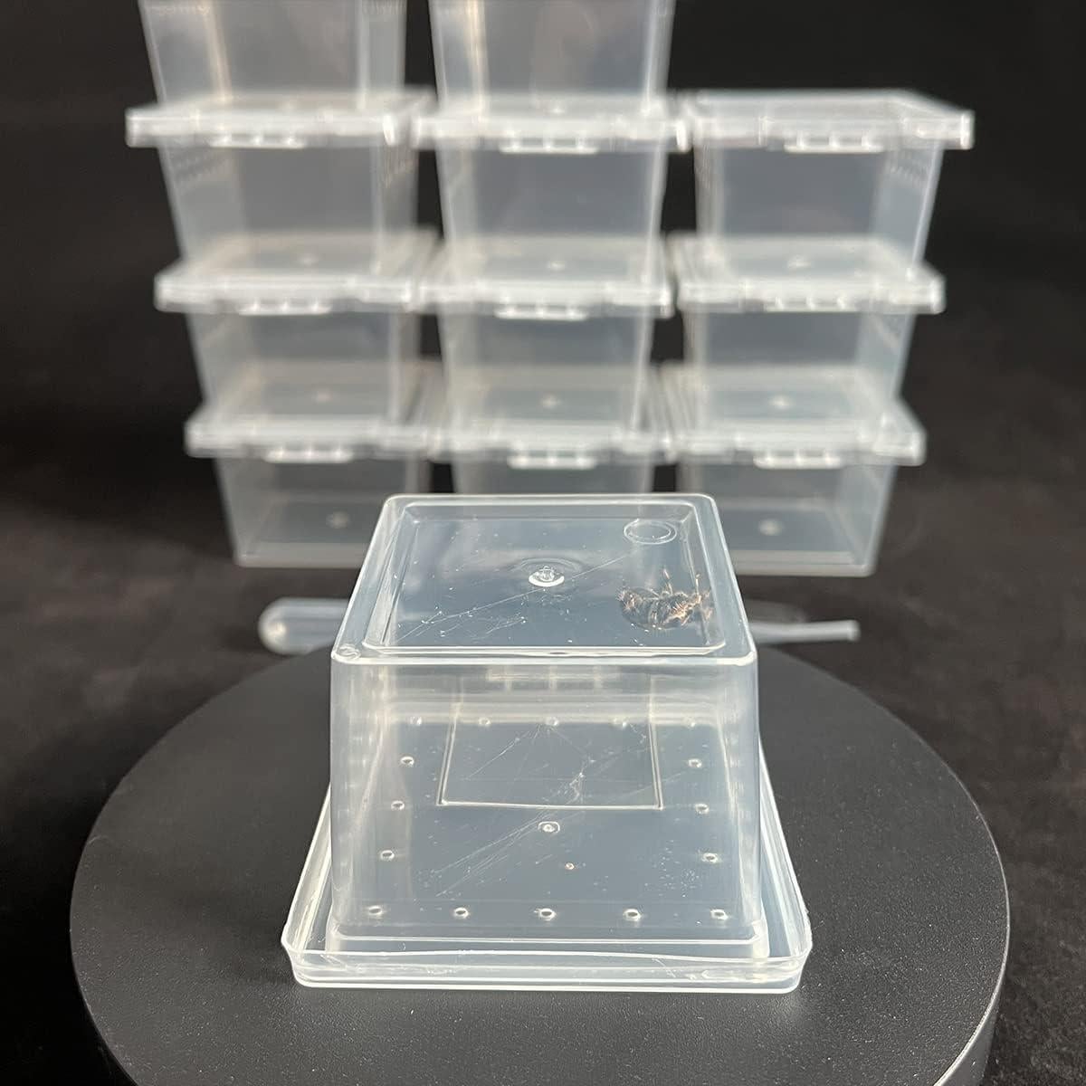 Caja de Cría de Reptiles GKPONSX 12 Pcs para Arañas y Invertebrados