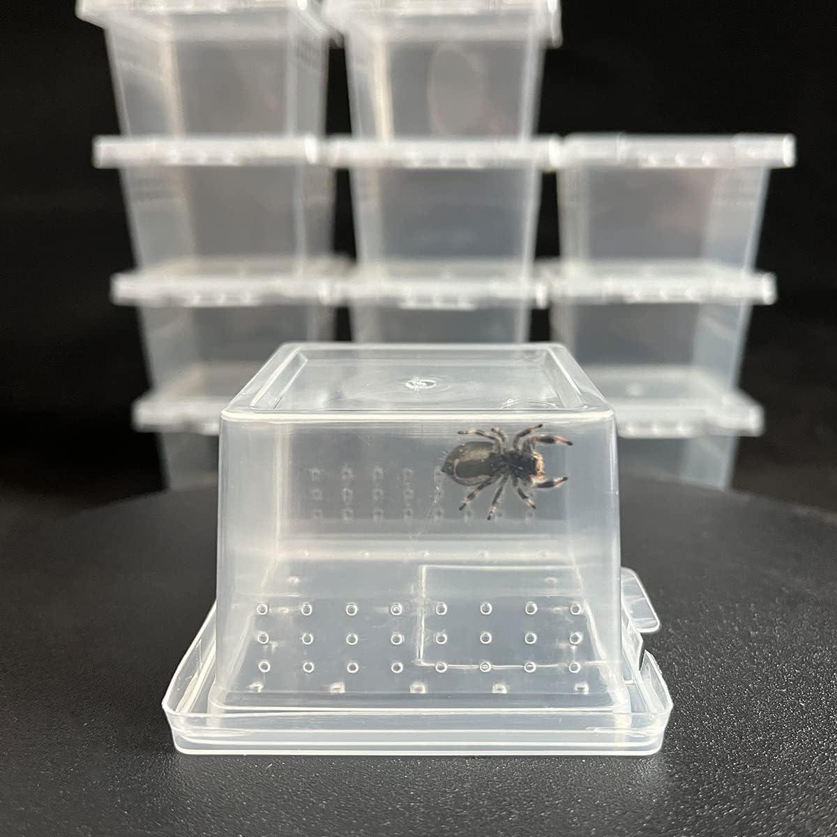 Caja de Cría de Reptiles GKPONSX 12 Pcs para Arañas y Invertebrados