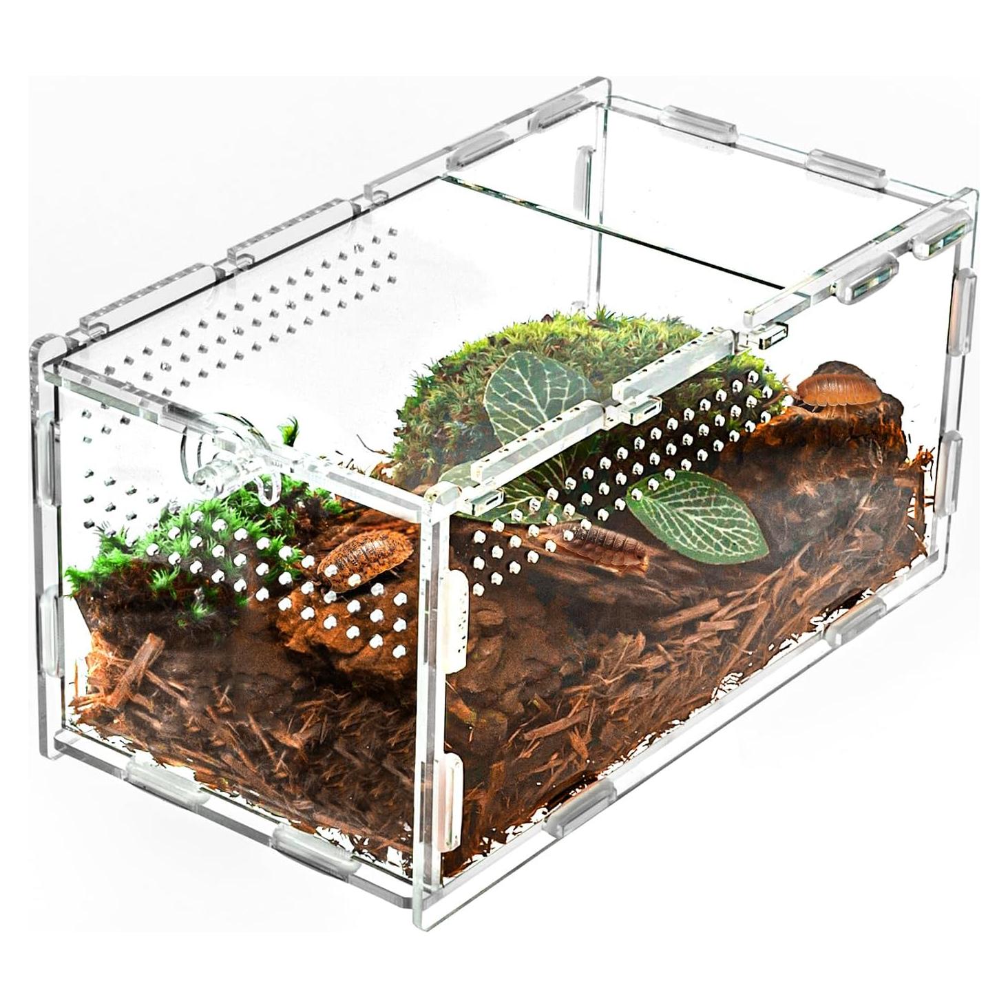 Mini Terrario Acrílico 2 en 1 REPTI ZOO para Tarantulas y Mantis