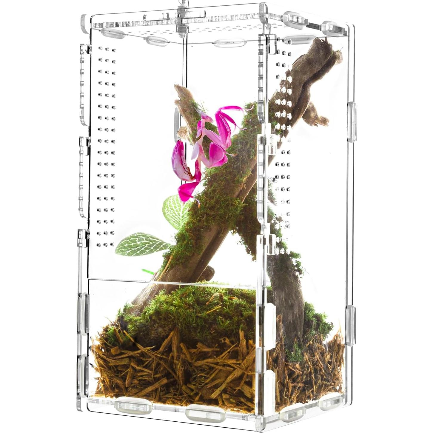 Mini Terrario Acrílico 2 en 1 REPTI ZOO para Tarantulas y Mantis