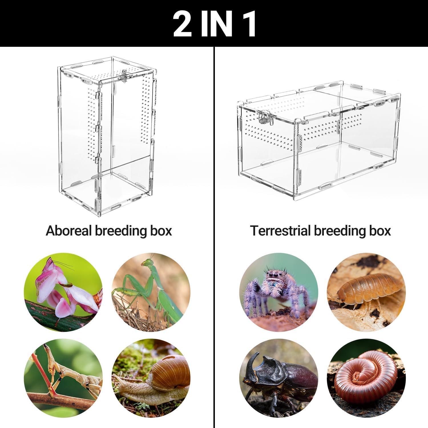 Mini Terrario Acrílico 2 en 1 REPTI ZOO para Tarantulas y Mantis