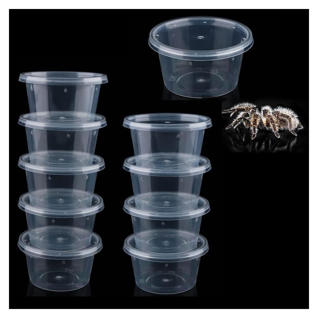 10 Cajas de Cría para Arañas DQITJ Pequeñas 5.49 cm