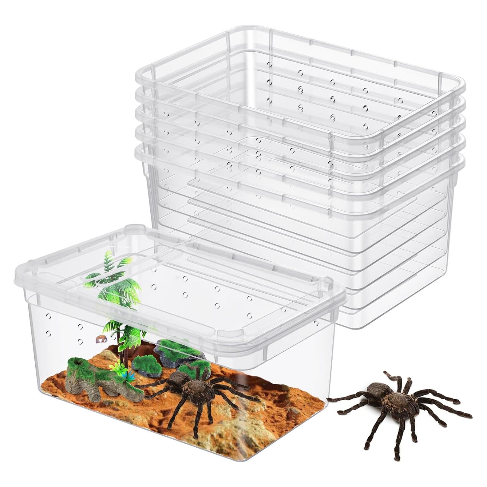 Caja de Alimentación para Reptiles Worldity 8 Pcs 13x8x6.5cm