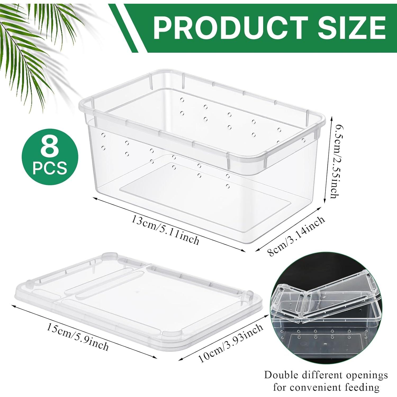 Caja de Alimentación para Reptiles Worldity 8 Pcs 13x8x6.5cm