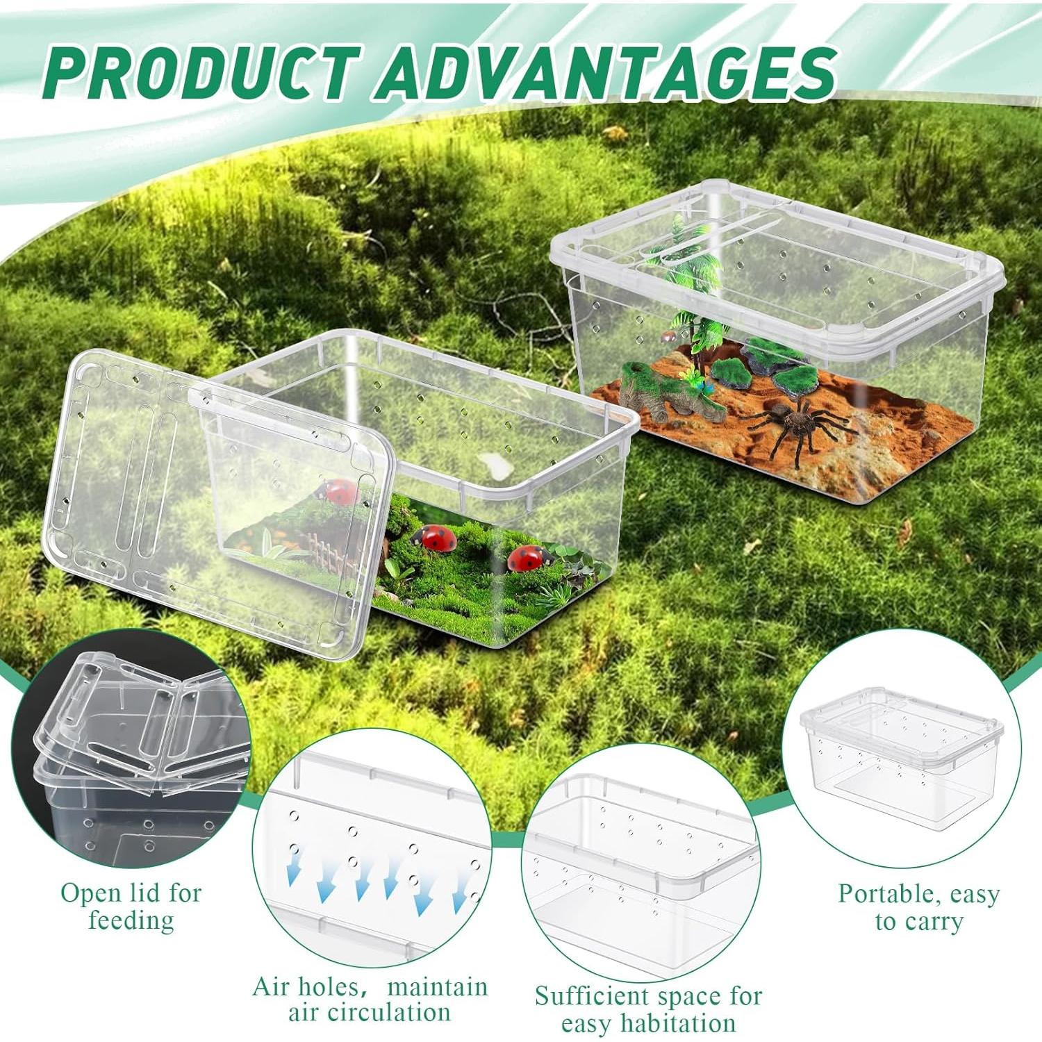 Caja de Alimentación para Reptiles Worldity 8 Pcs 13x8x6.5cm