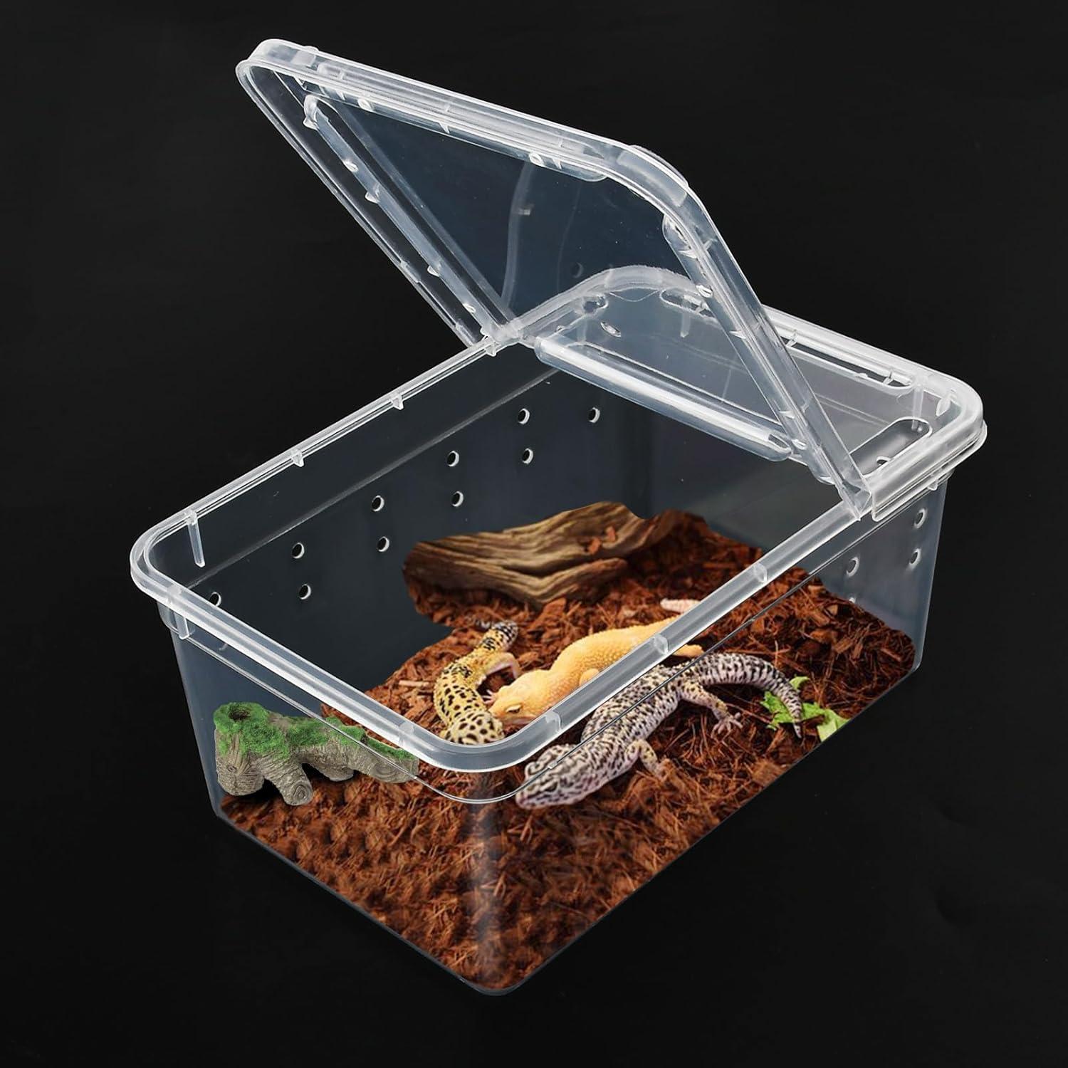 Caja de Alimentación para Reptiles Worldity 8 Pcs 13x8x6.5cm