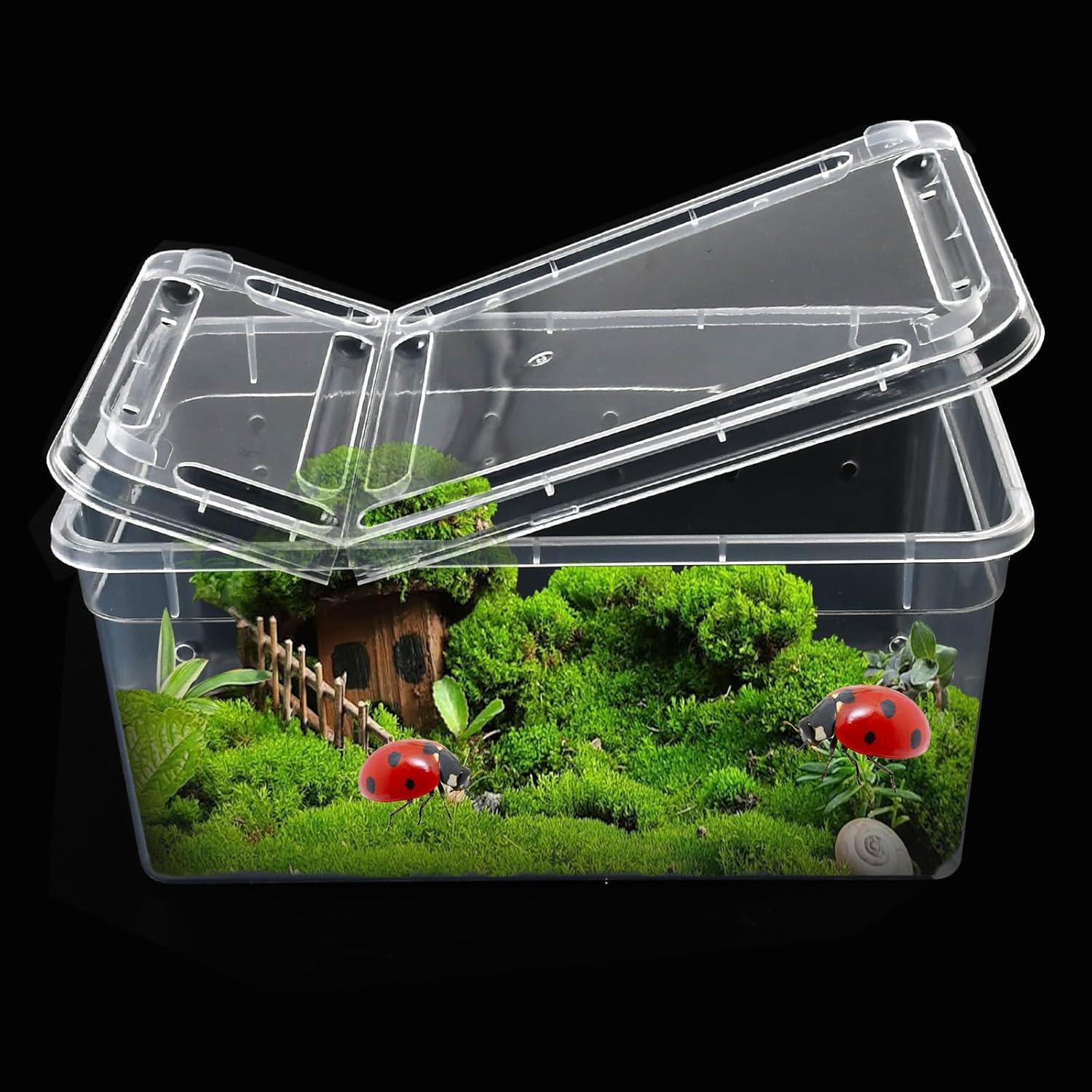 Caja de Alimentación para Reptiles Worldity 8 Pcs 13x8x6.5cm