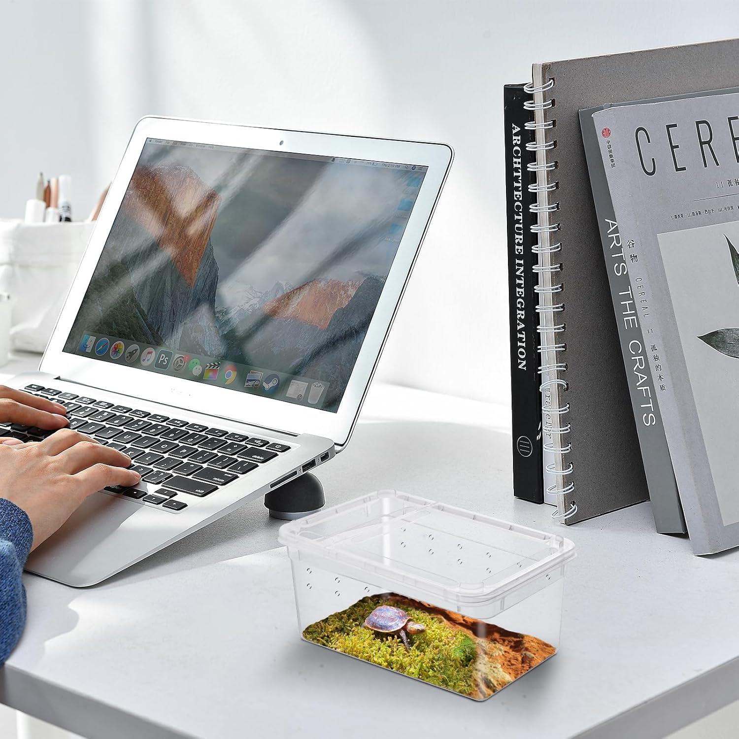 Caja de Alimentación para Reptiles Worldity 8 Pcs 13x8x6.5cm