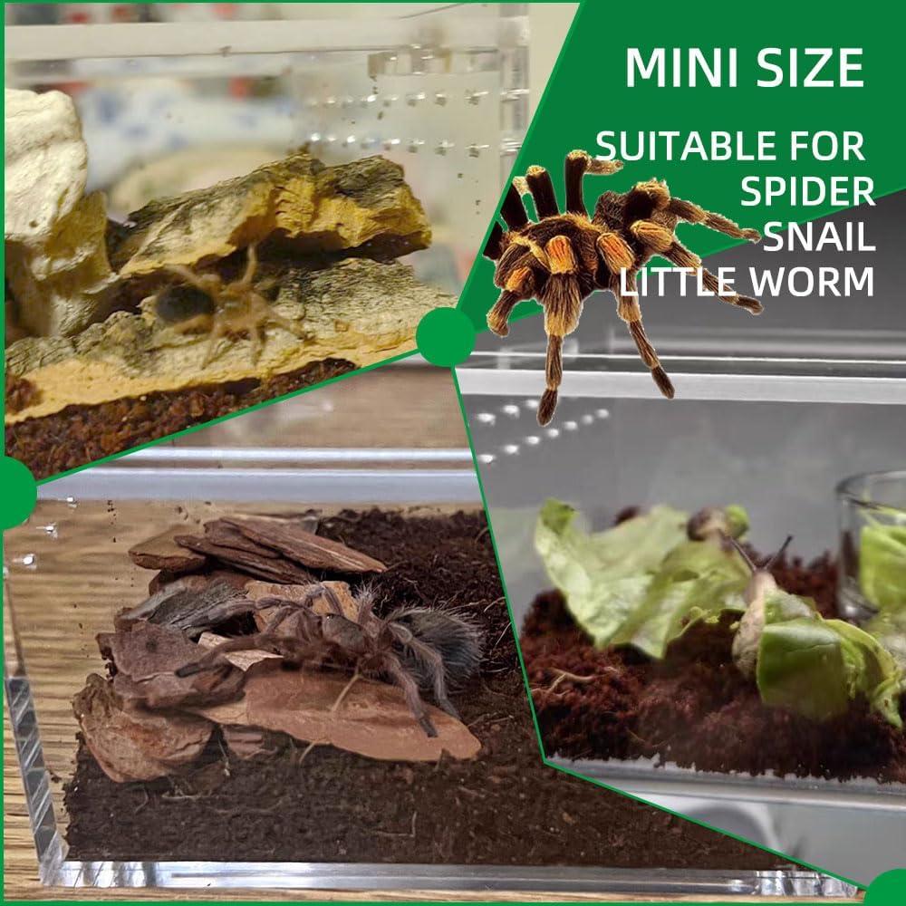 Caja de Cría de Reptiles JOBEDE 10.4x8.4x6.4 cm Acrílico