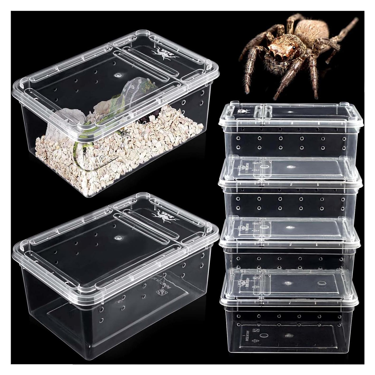 6 Terrarios Mini para Arañas y Reptiles Harhana 12.95x7.87cm