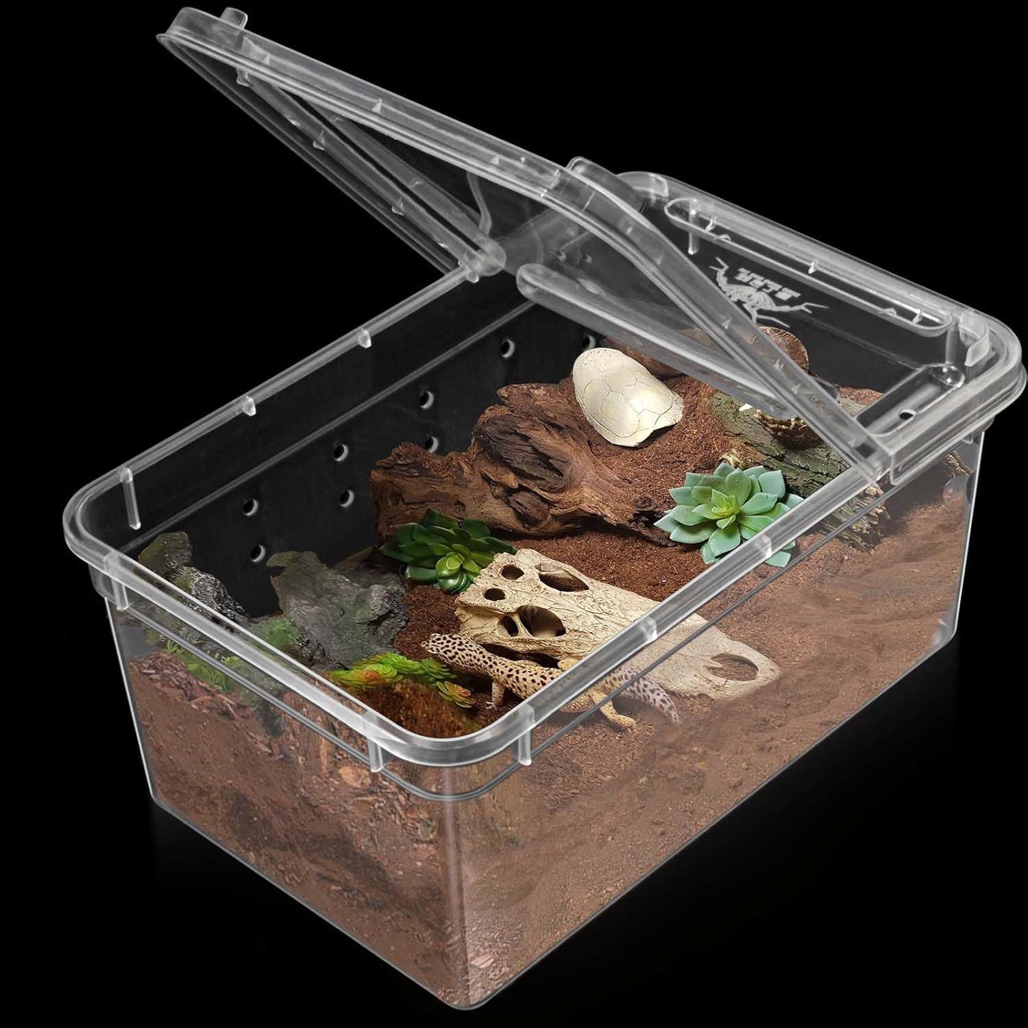 6 Terrarios Mini para Arañas y Reptiles Harhana 12.95x7.87cm