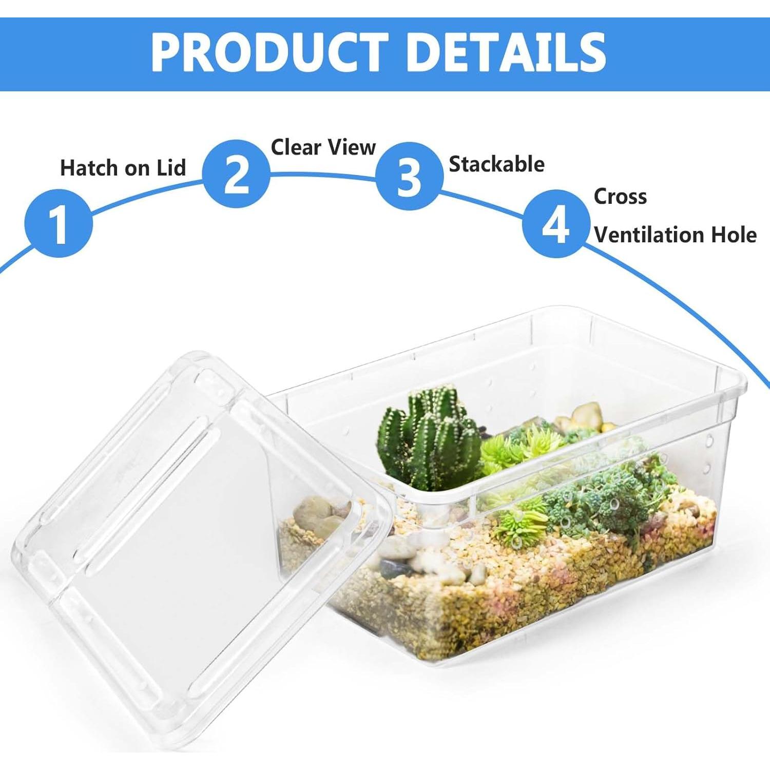 6 Terrarios Mini para Arañas y Reptiles Harhana 12.95x7.87cm