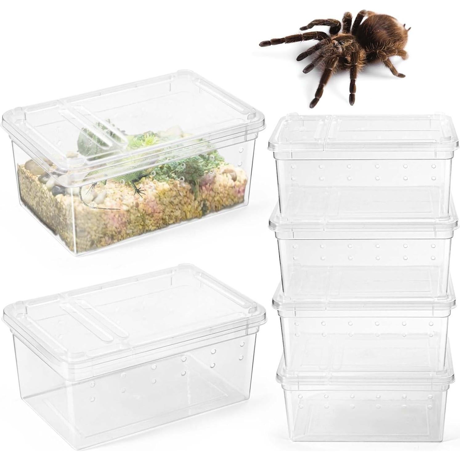 6 Terrarios Mini para Arañas y Reptiles Harhana 12.95x7.87cm