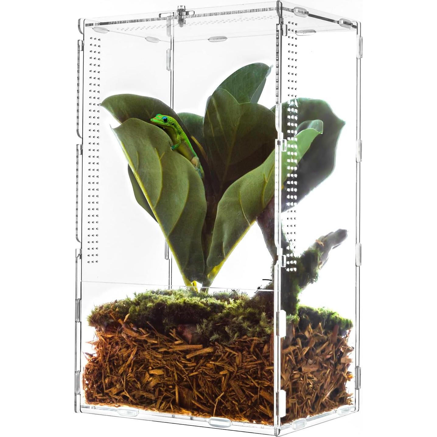 Terrario Acrílico REPTI ZOO 35.5x20.3x15.2 cm para Tarantulas