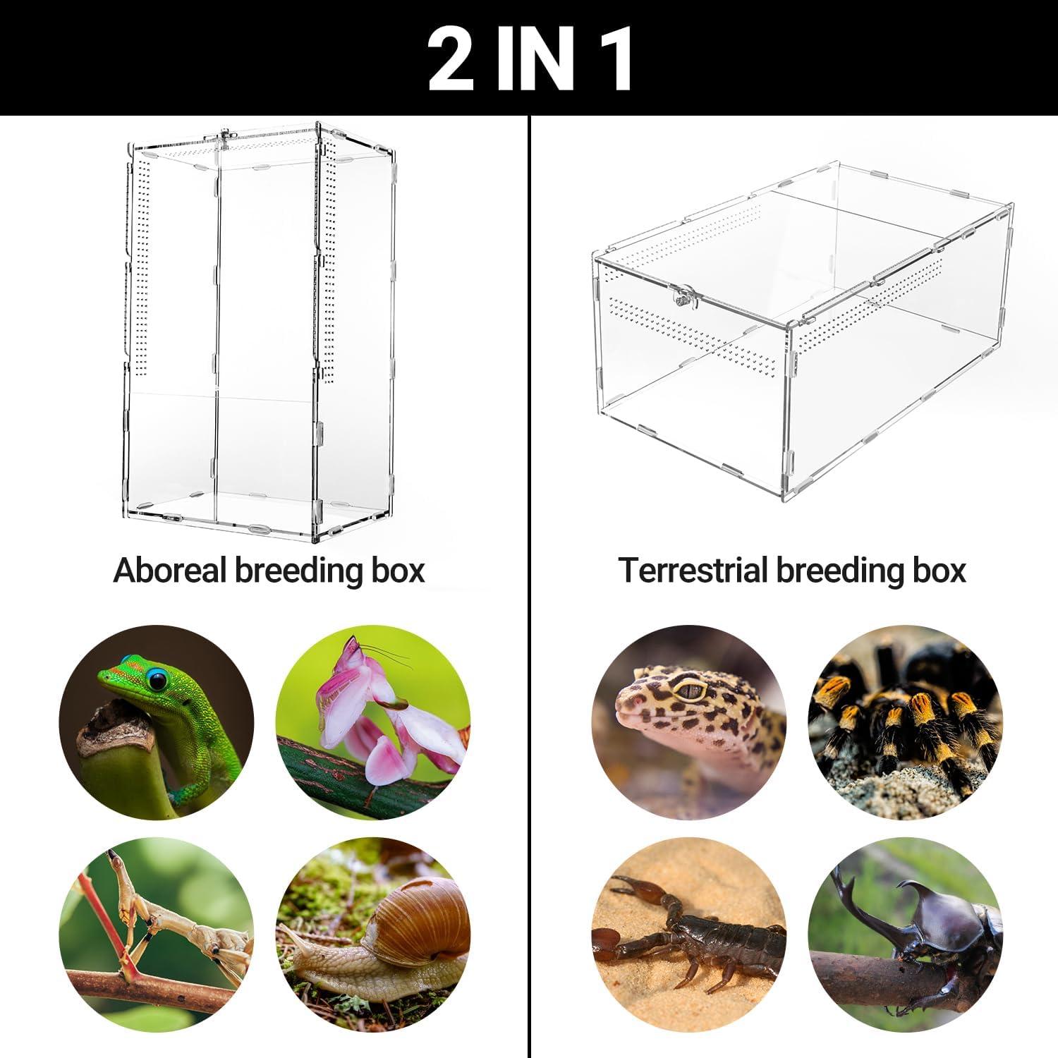 Terrario Acrílico REPTI ZOO 35.5x20.3x15.2 cm para Tarantulas