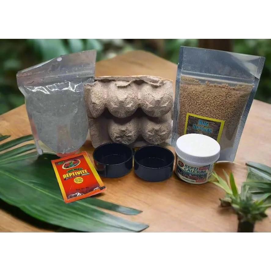 Kit de Cuidado de Cucarachas Dubia Jungle Bob con Tanque 28x20x20 cm