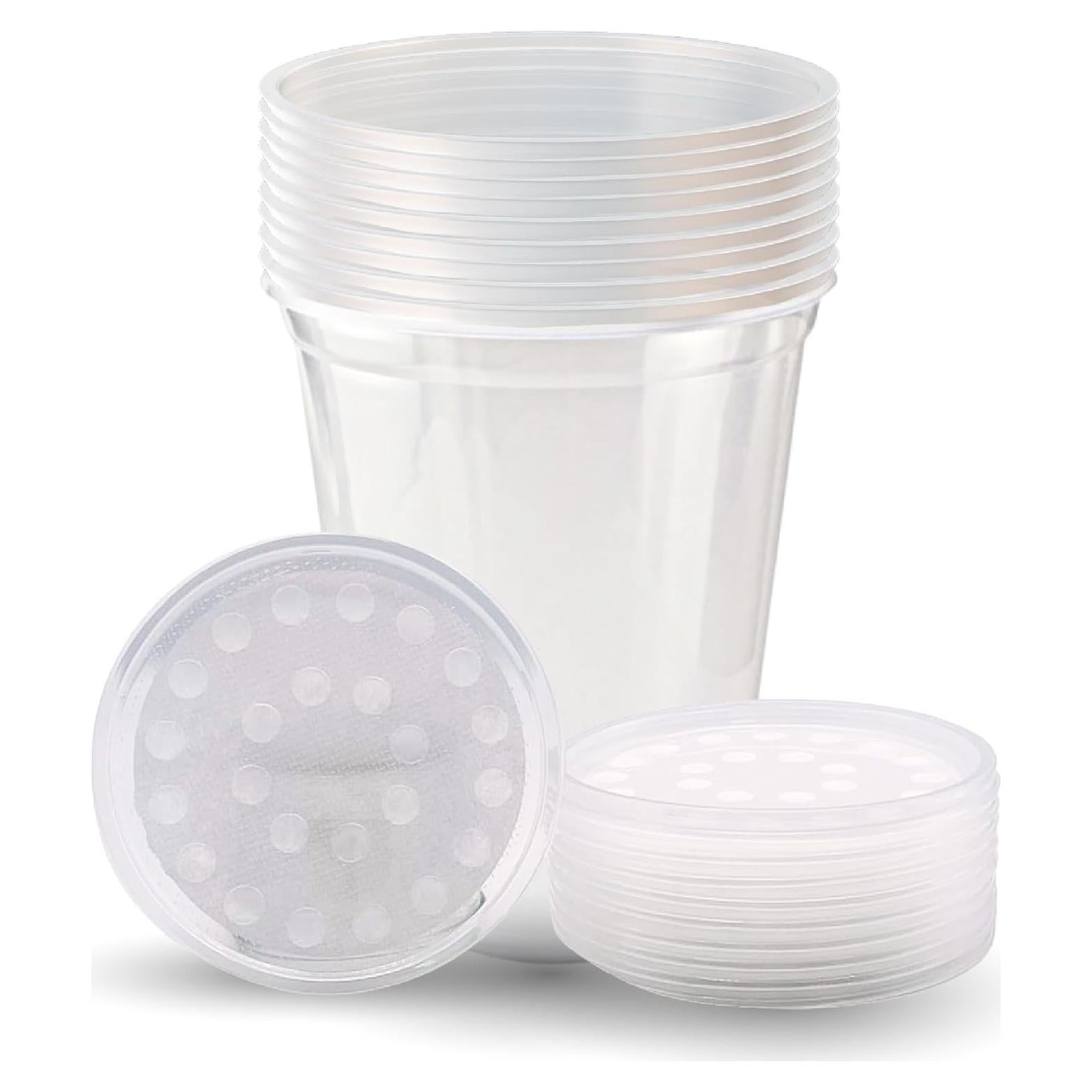 Tazas Deli Snout and Shell 32oz con tapas ventiladas - Paquete de 10