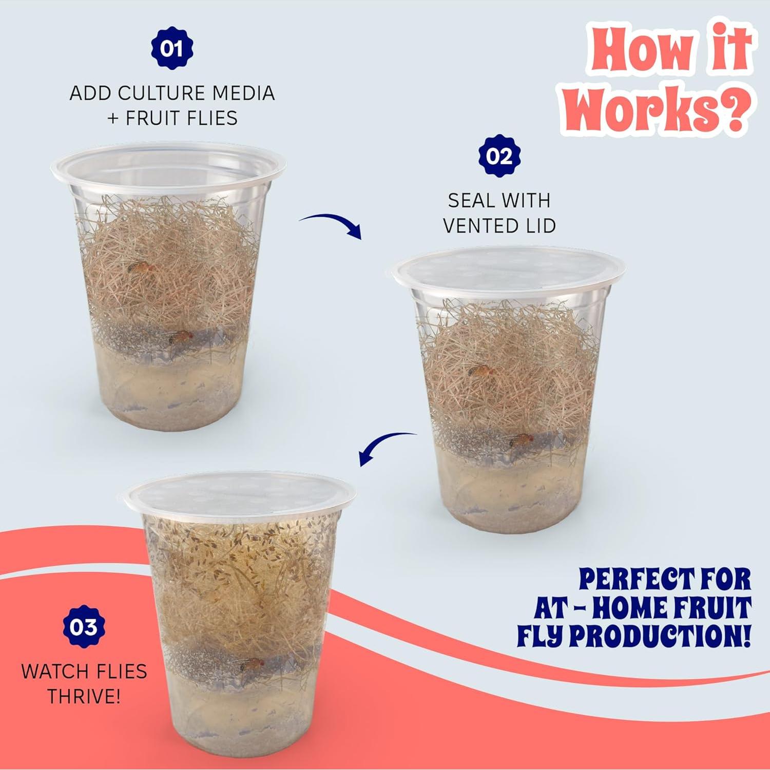 Tazas Deli Snout and Shell 32oz con tapas ventiladas - Paquete de 10