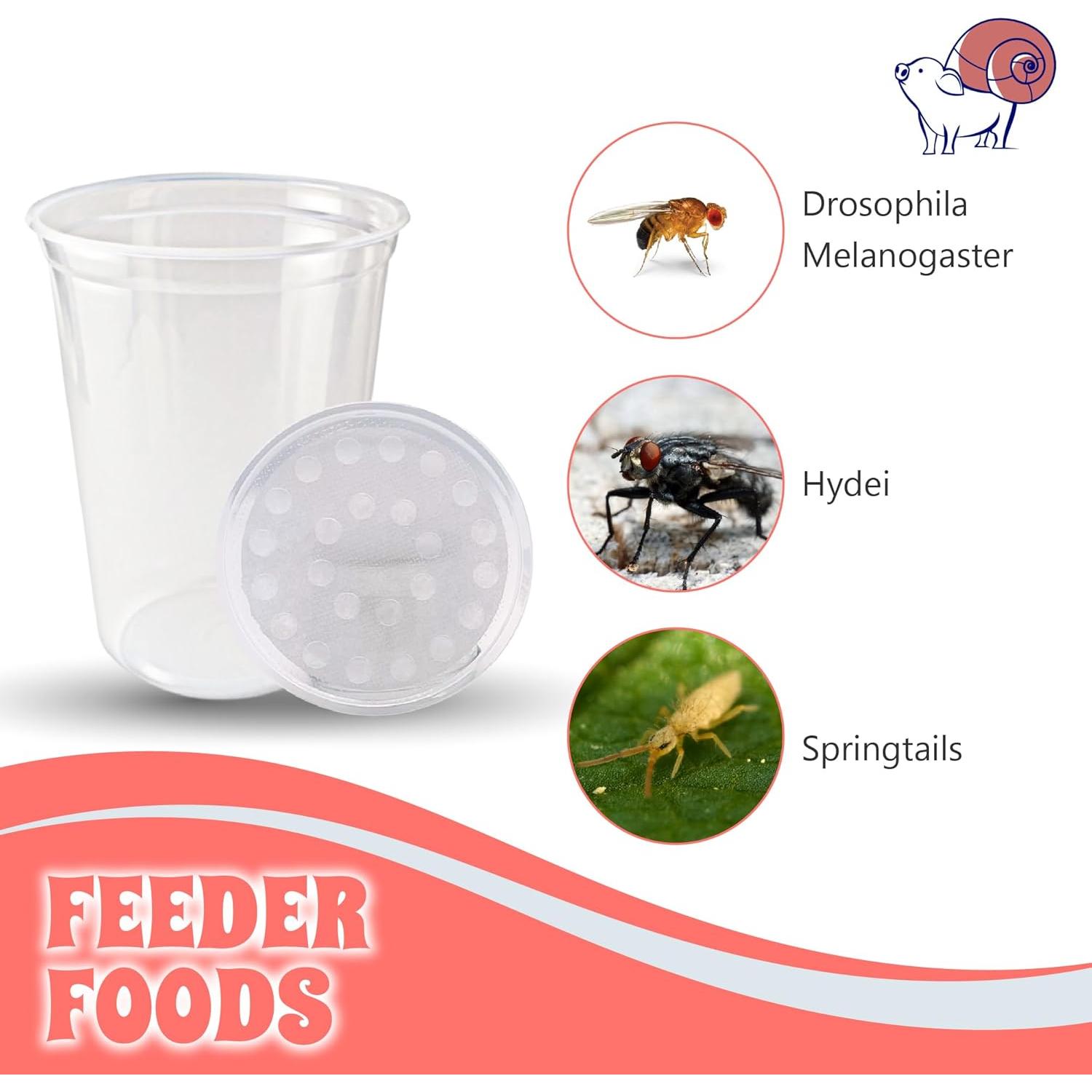 Tazas Deli Snout and Shell 32oz con tapas ventiladas - Paquete de 10