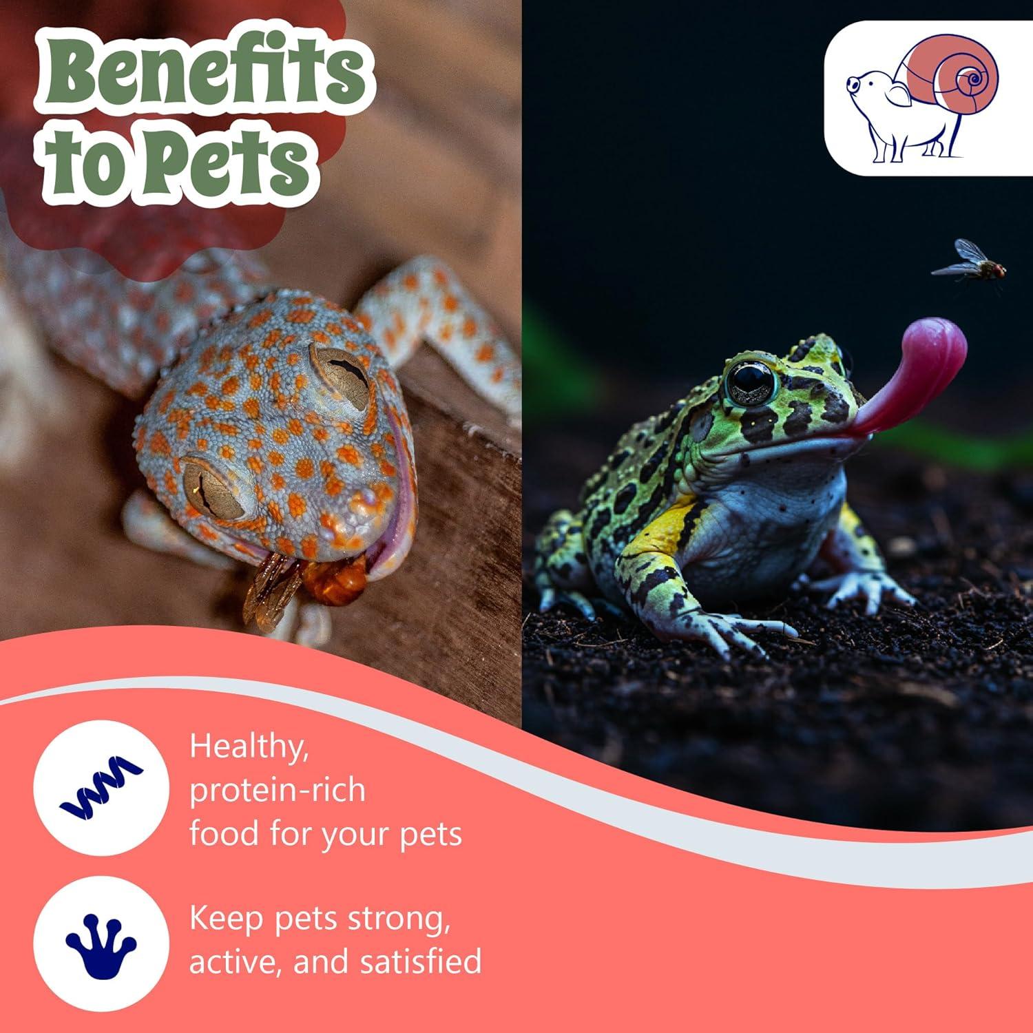 Tazas Deli Snout and Shell 32oz con tapas ventiladas - Paquete de 10