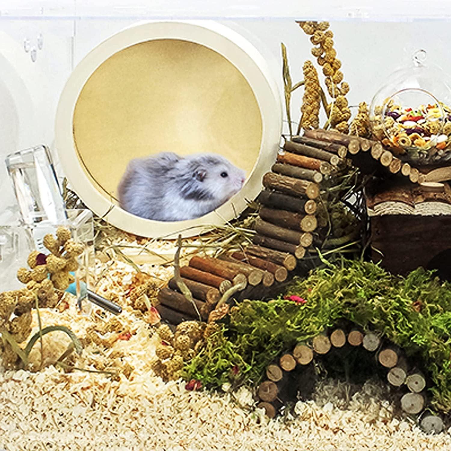 Rueda de Correr de Madera para Hámster Clais 17.5cm Silenciosa