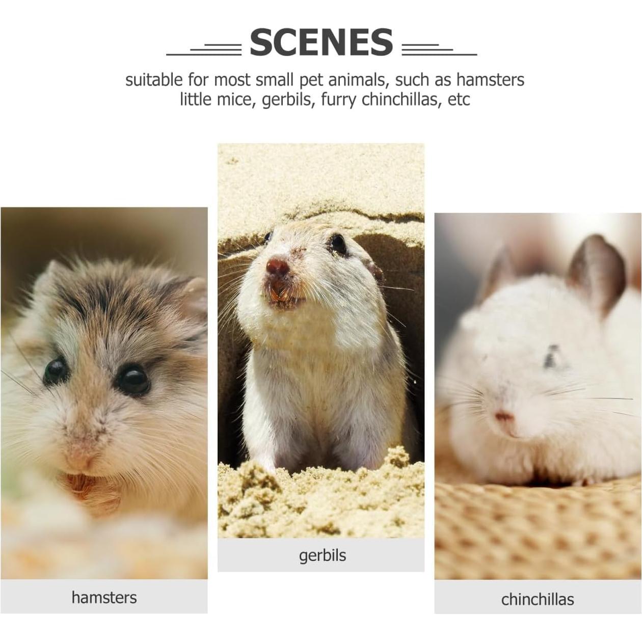 Rueda de Ejercicio Silenciosa POPETPOP para Hámster 18cm