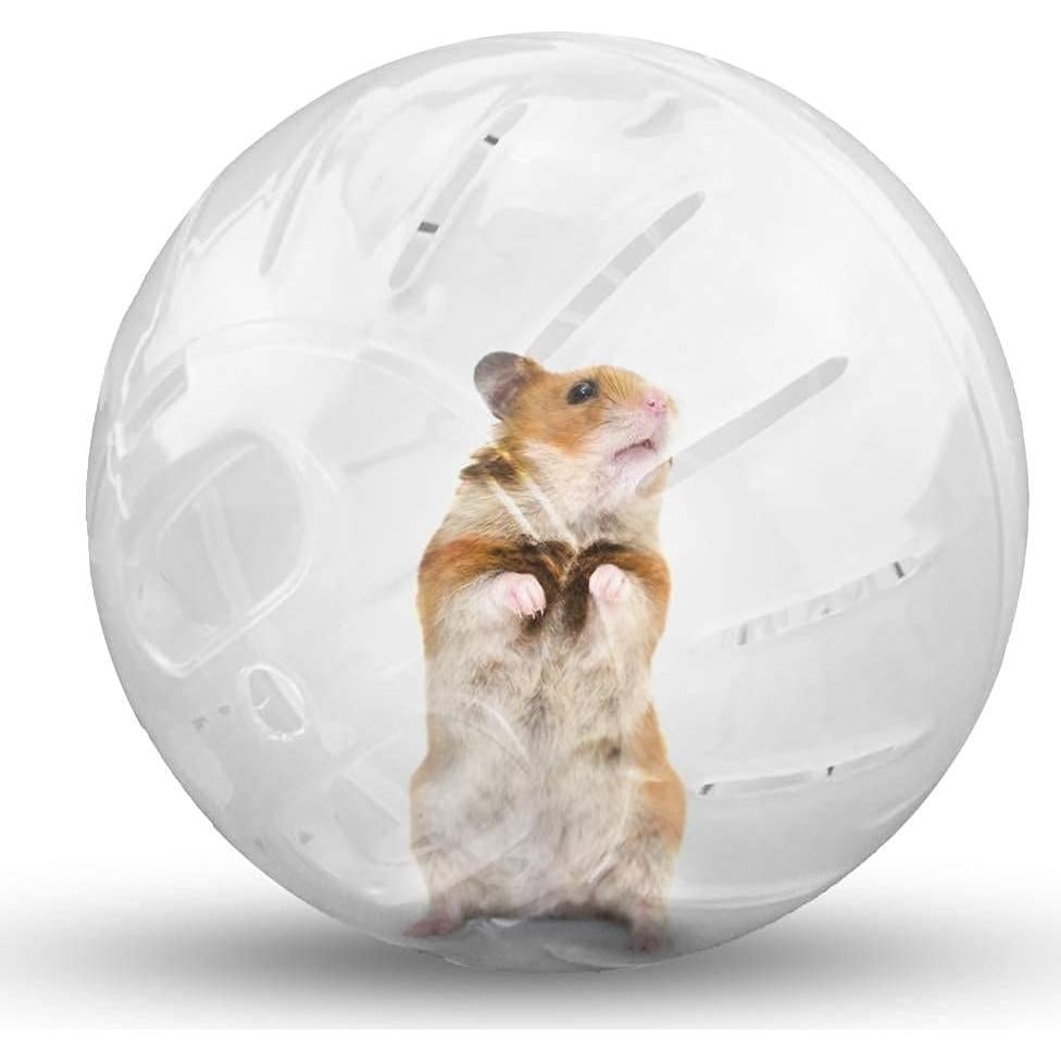 Bola de Hámster de Cristal WNZQK 15cm - Juguete Ejercicio Seguro