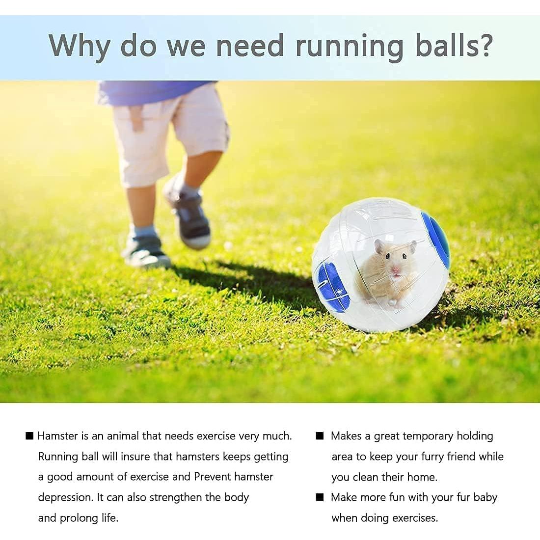 Bola de Hámster de Cristal WNZQK 15cm - Juguete Ejercicio Seguro