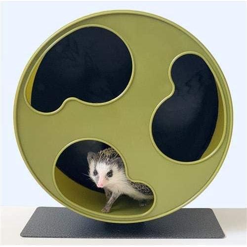 Rueda de Ejercicio Silenciosa Exotic Nutrition 30.48 cm