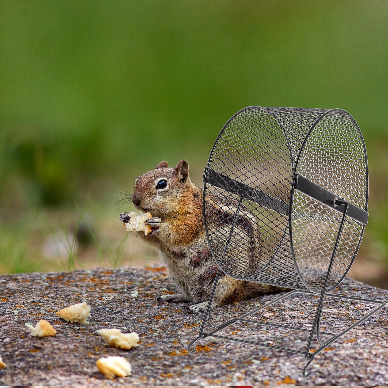 Rueda de Ejercicio Silenciosa UKCOCO 25.4 cm para Hámsters