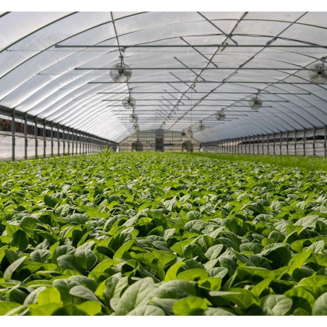 Red de Jardín Garden Tailor 1.22x3.05m Malla Fina Anti Insectos