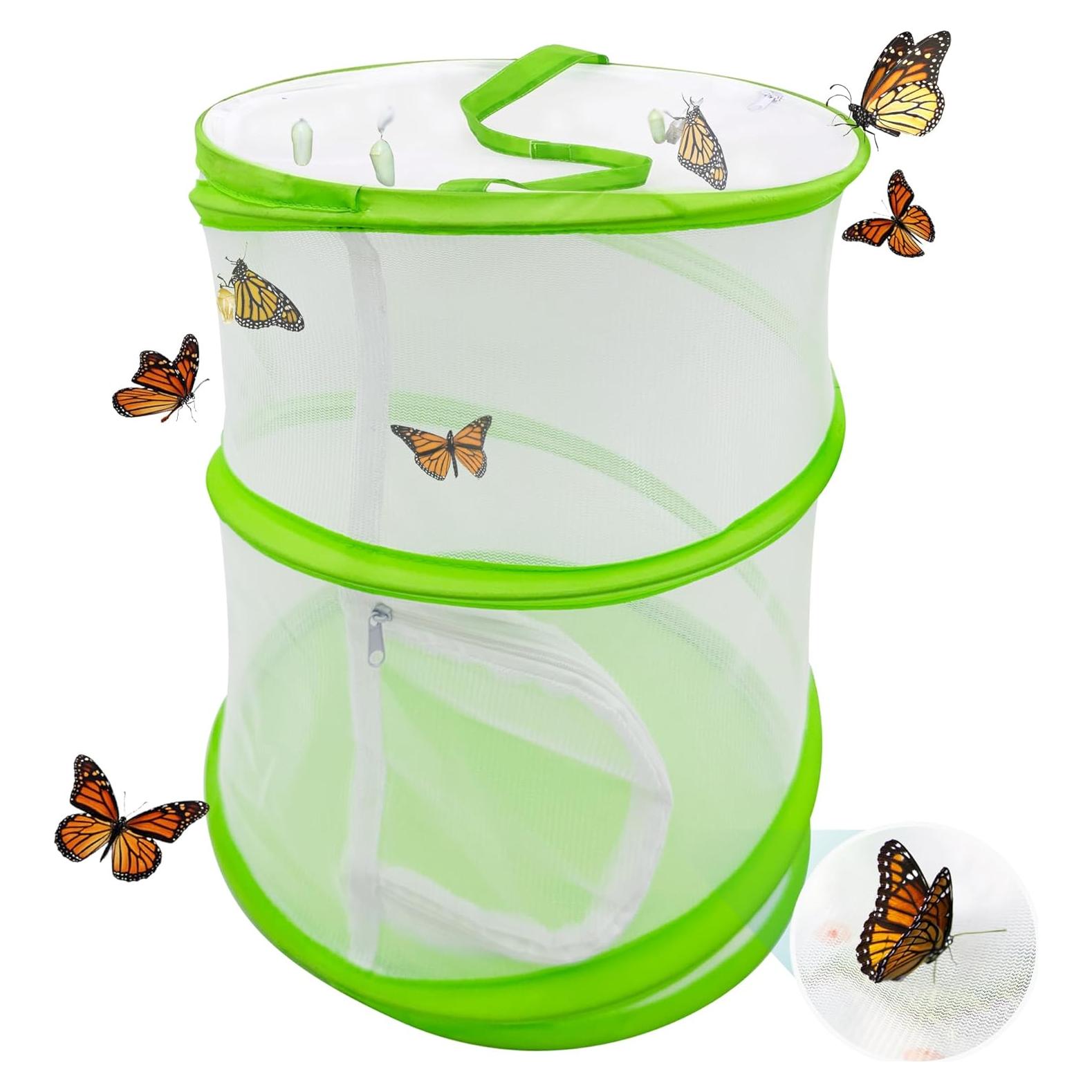 Jaula de Hábitat para Mariposas FCIHROSITCE Verde 30.48x35.56cm