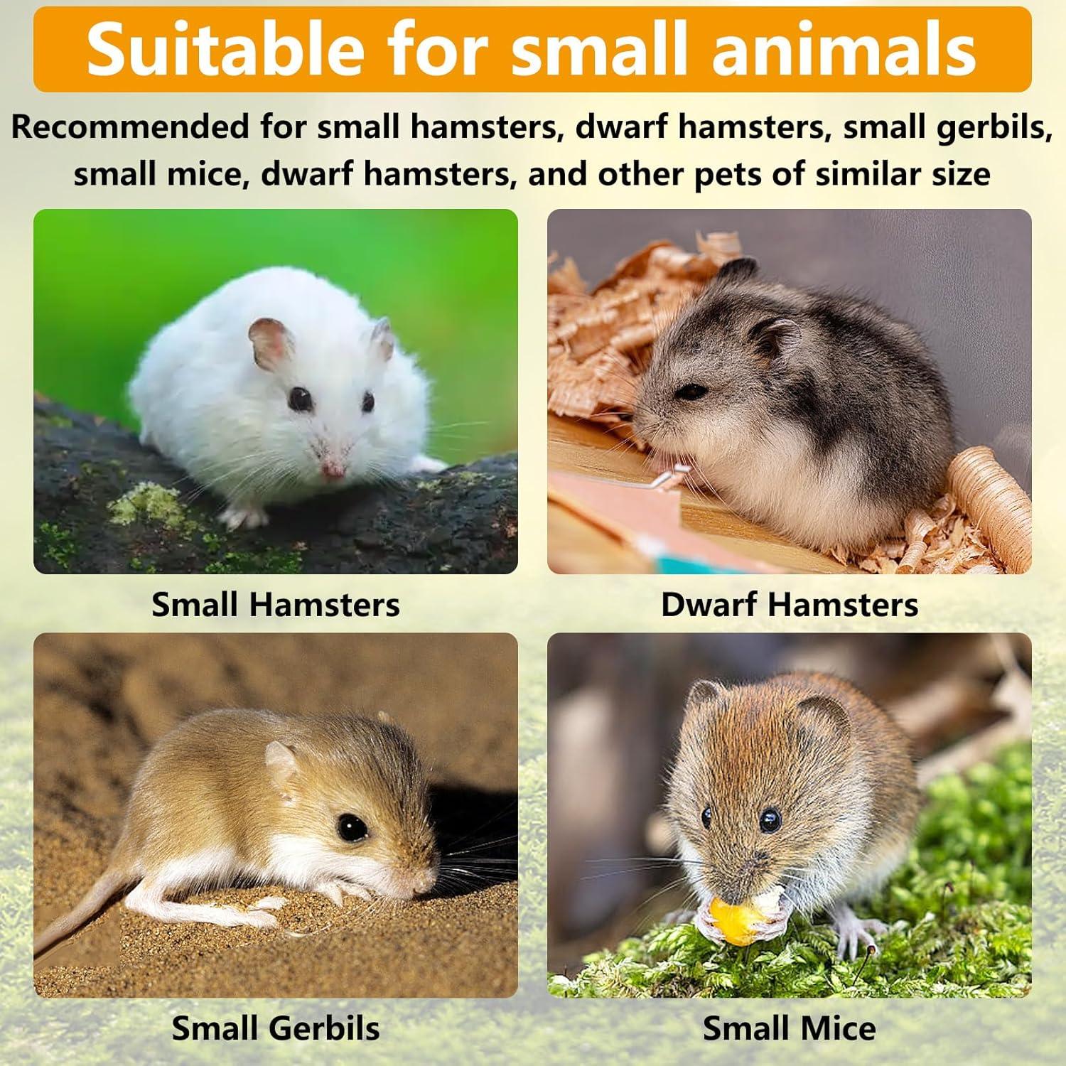 Rueda de Hámster de Madera Hamiledyi 20.99 cm Silenciosa