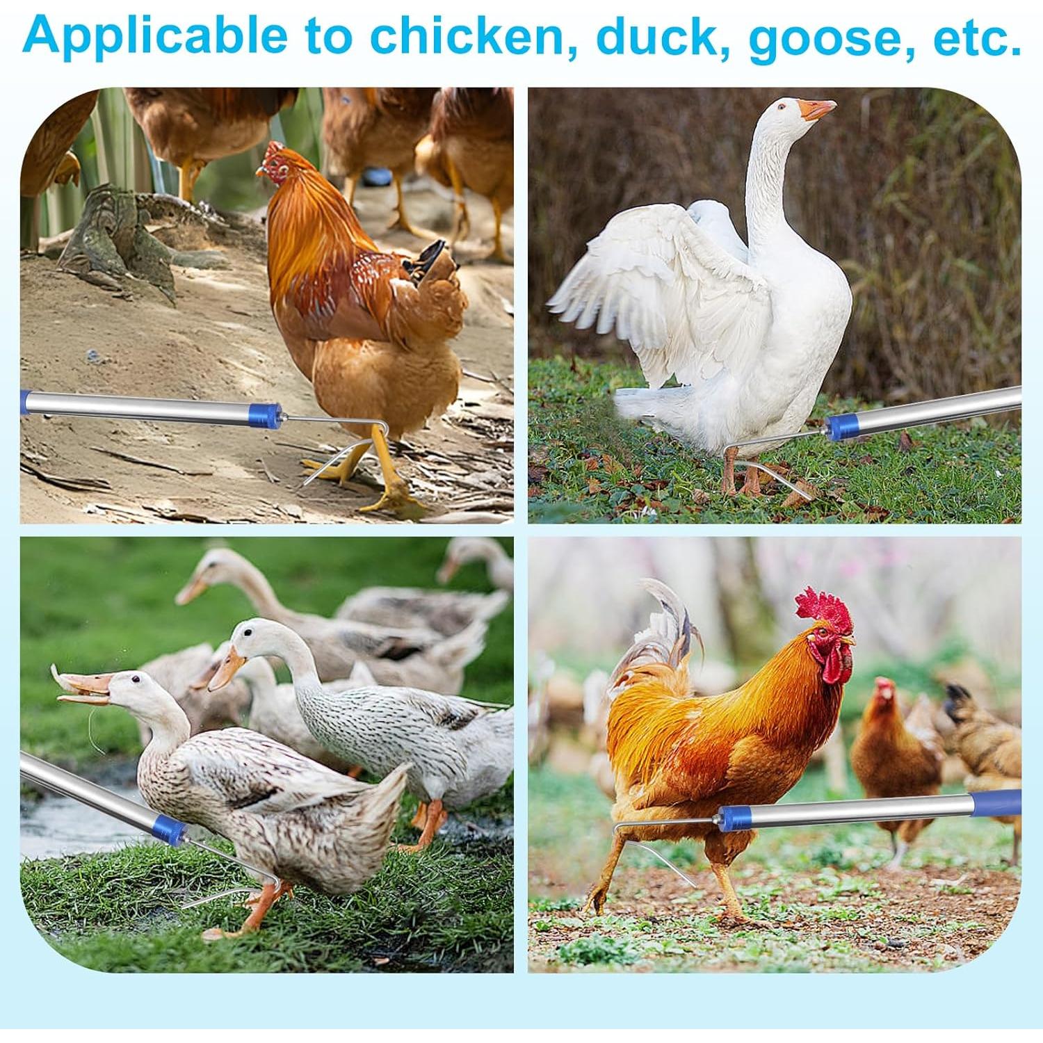 Red para atrapar pollos ISIVOVE, extensible 83.8 a 191.8 cm