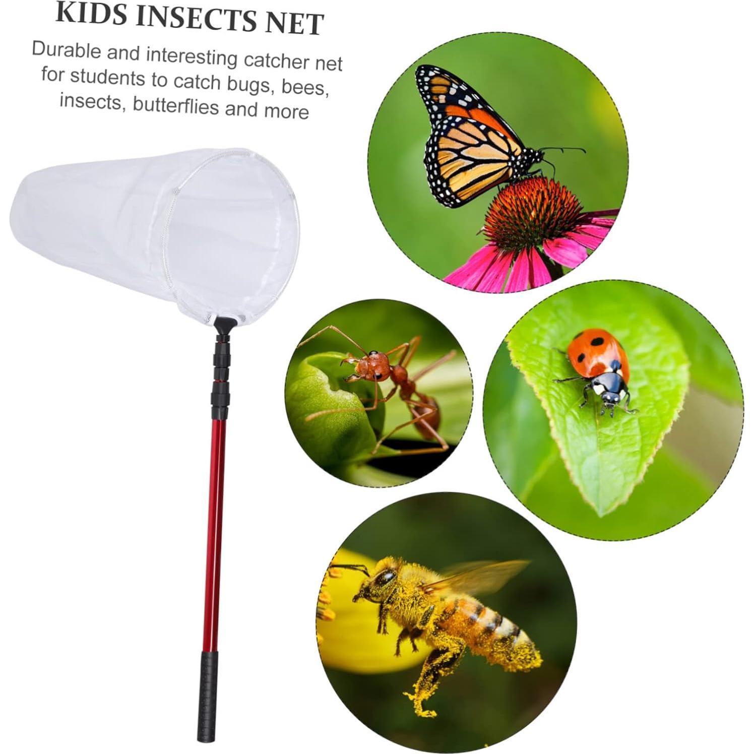 Red Telescópica para Mariposas CHICAMPERA 170cm Nylon Rojo