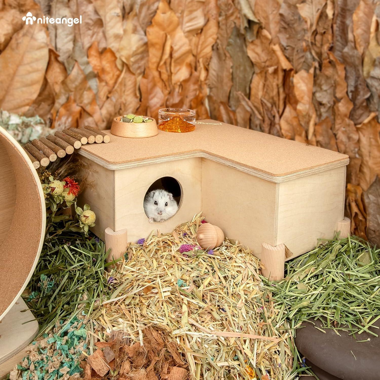 Juego de 5 Patas de Haya Niteangel para Laberinto de Hámster