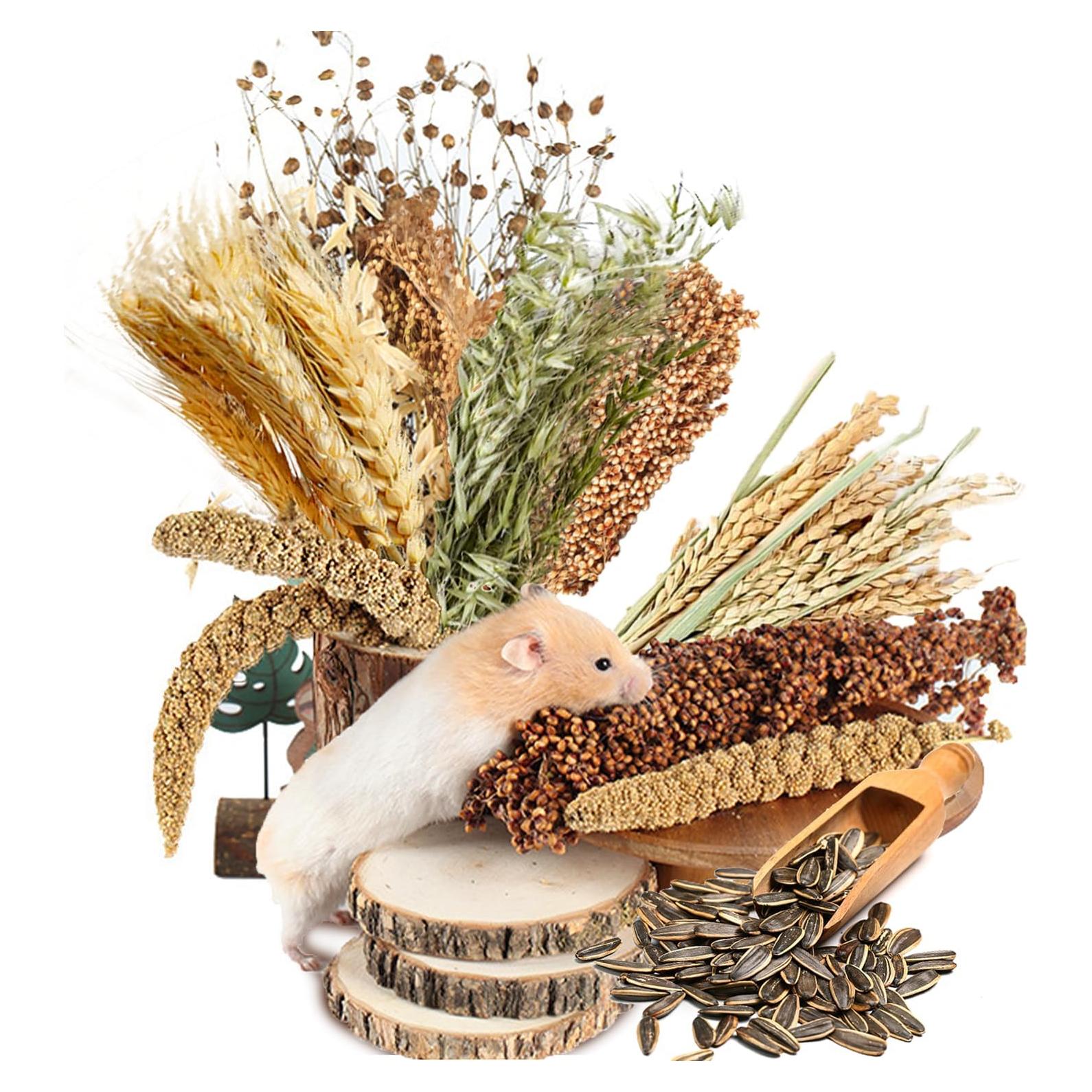 Decoración Natural para Hámsters NICERINC - Granos y Hierbas 422g