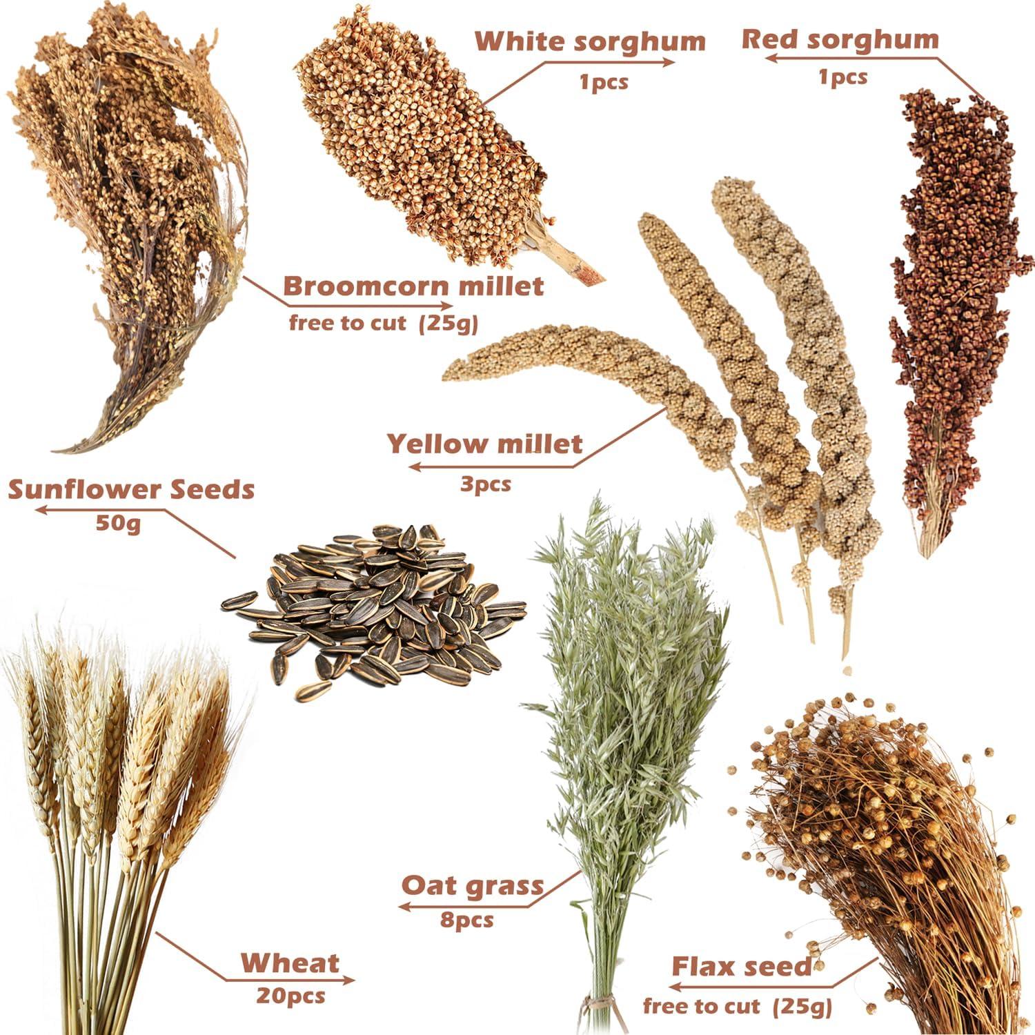 Decoración Natural para Hámsters NICERINC - Granos y Hierbas 422g