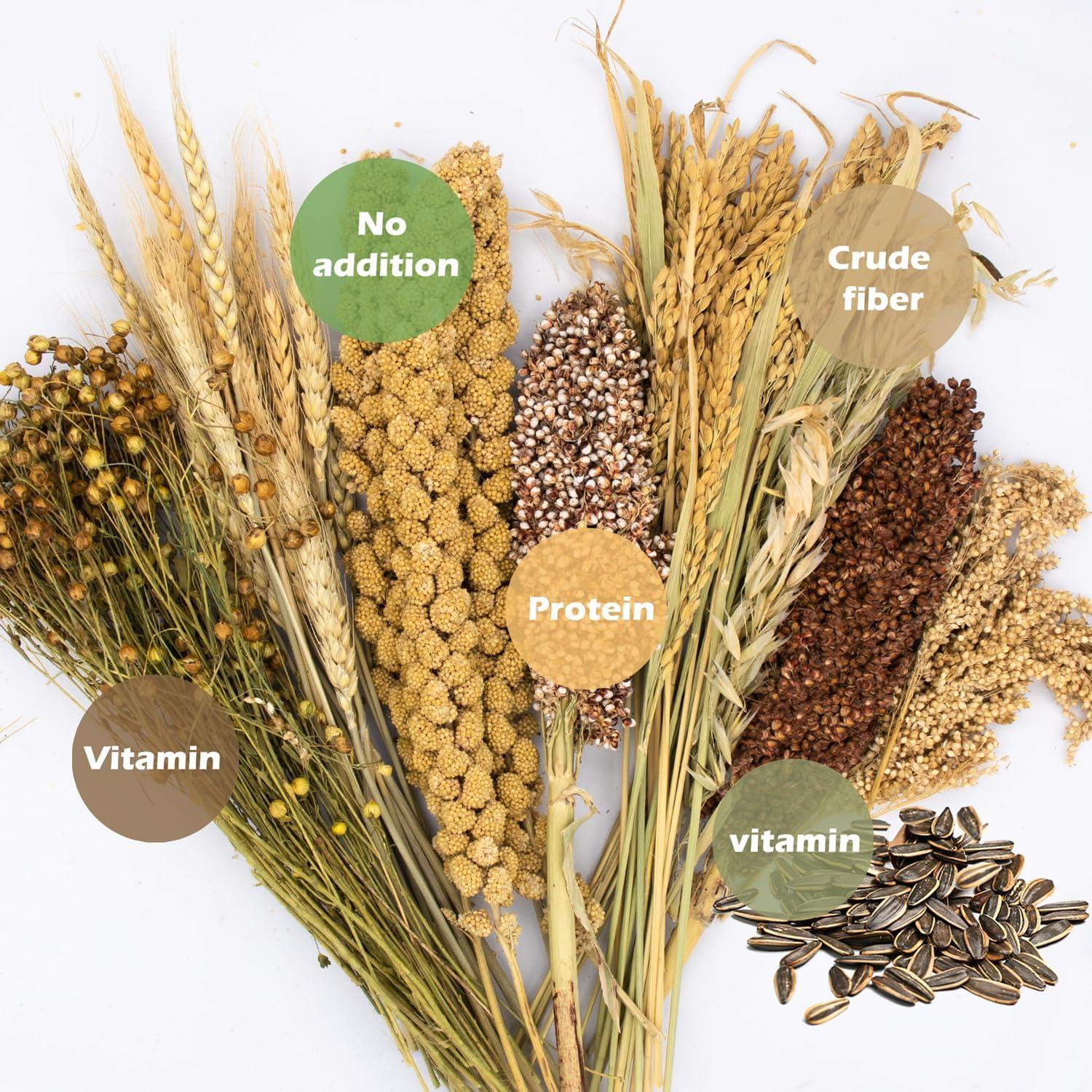 Decoración Natural para Hámsters NICERINC - Granos y Hierbas 422g