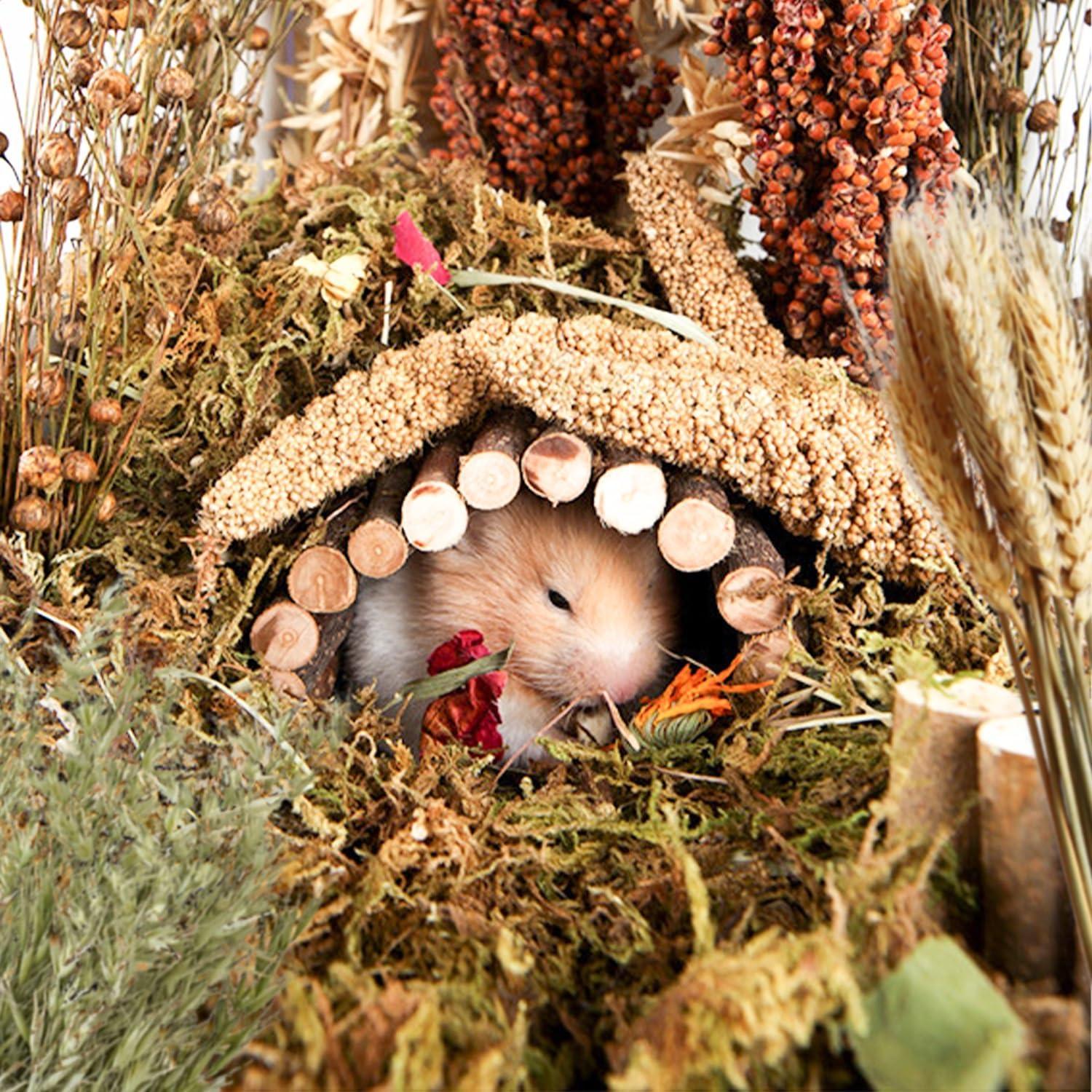 Decoración Natural para Hámsters NICERINC - Granos y Hierbas 422g